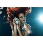 16-09-2013 - mcs_marketing - Andrea Berg - 4.jpg